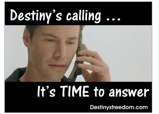 Q40 Destiny's calling