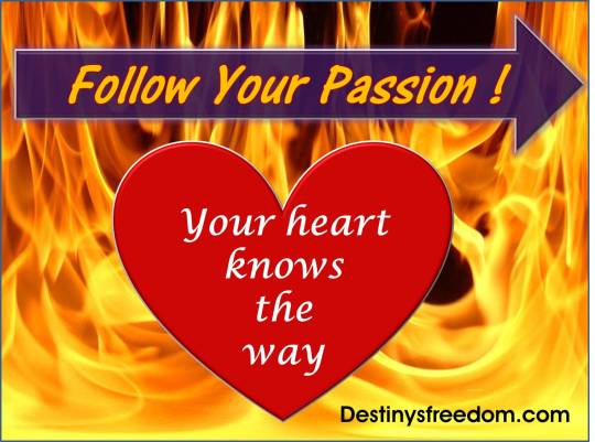 Q47 Follow Your Passion